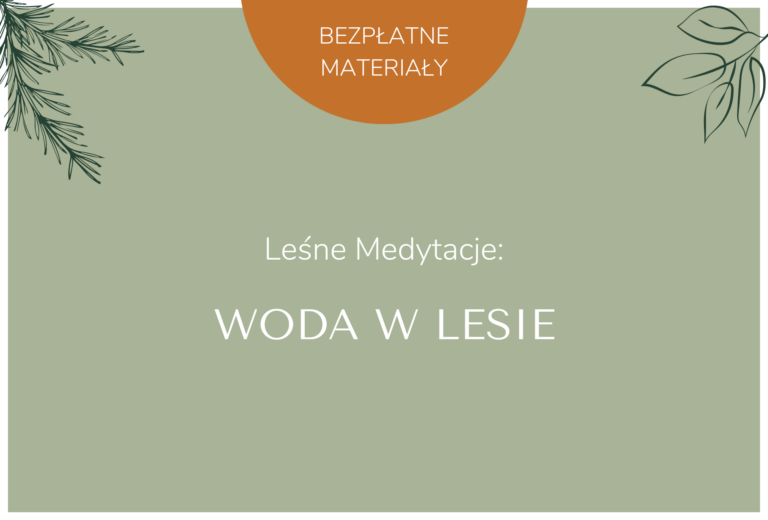 Woda w lesie