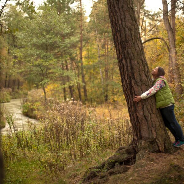 W objęciach lasu - sesja indywidualna