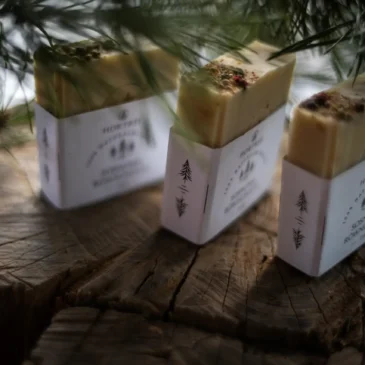 Mydło Sosnowa Równowaga (1)