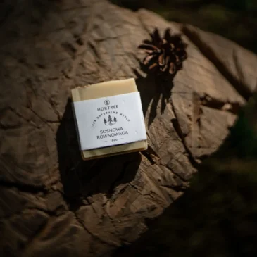 Mydło Sosnowa Równowaga (3)