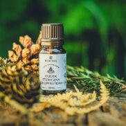 20250506_DSC_8247_Easy-Resize.com