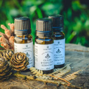 20250811_185937_Easy-Resize.com