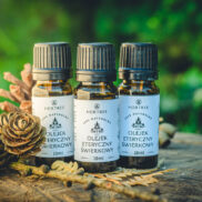 20250811_190004_Easy-Resize.com