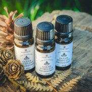 20250811_190014_Easy-Resize.com