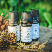 20250811_190020_Easy-Resize.com