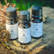 20250811_190229_Easy-Resize.com