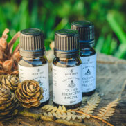 20250811_190236_Easy-Resize.com