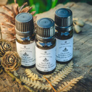 20250811_190341_Easy-Resize.com