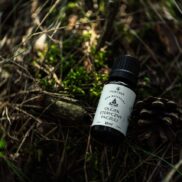 WhatsApp Image 2025-08-15 at 11.47.03_Easy-Resize.com