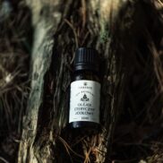 WhatsApp Image 2025-08-15 at 11.50.14 (1)_Easy-Resize.com