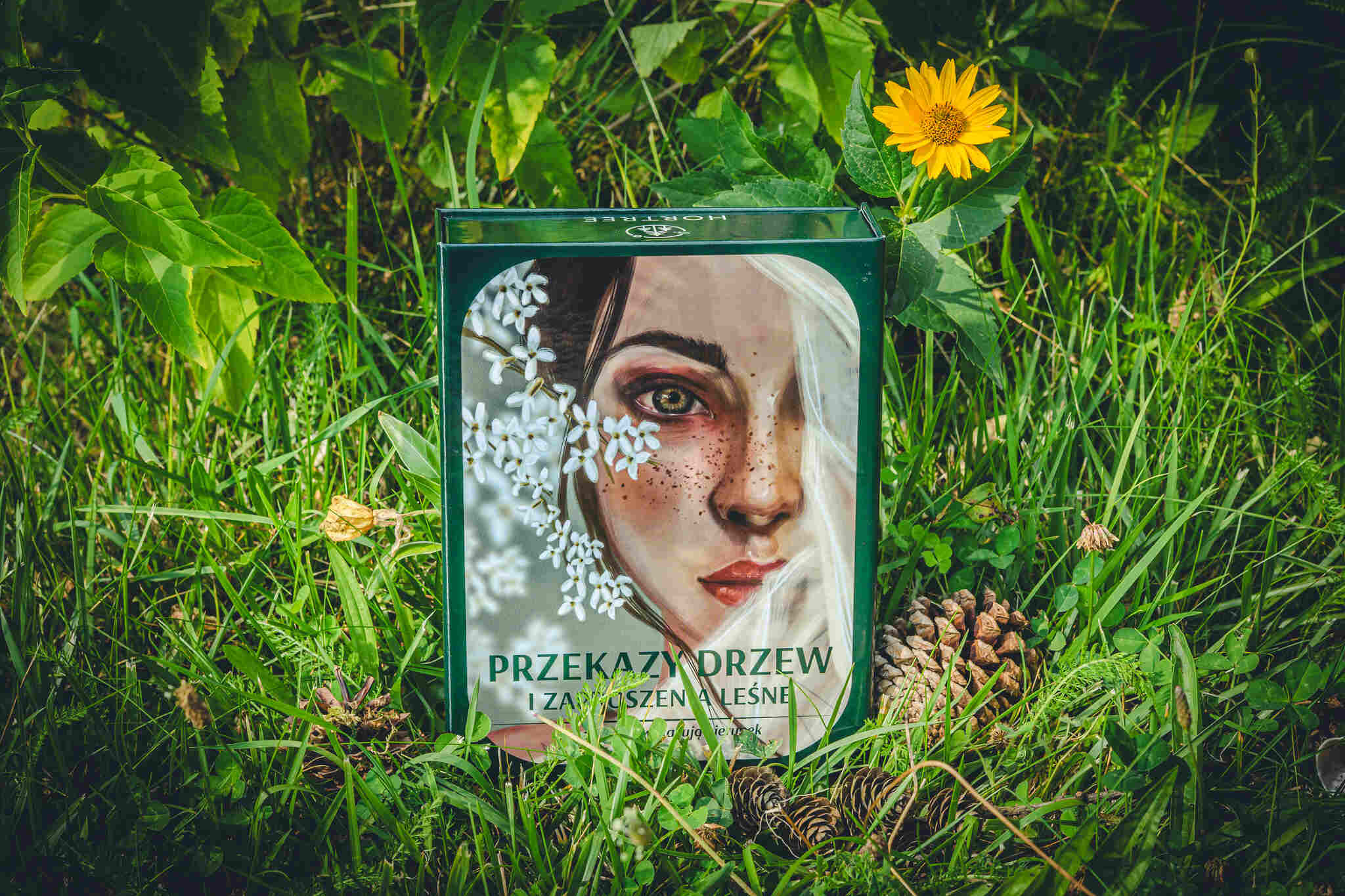 Pudełko Kart Przekazy Drzew z autorską ilustracją na wieczku, w trawie