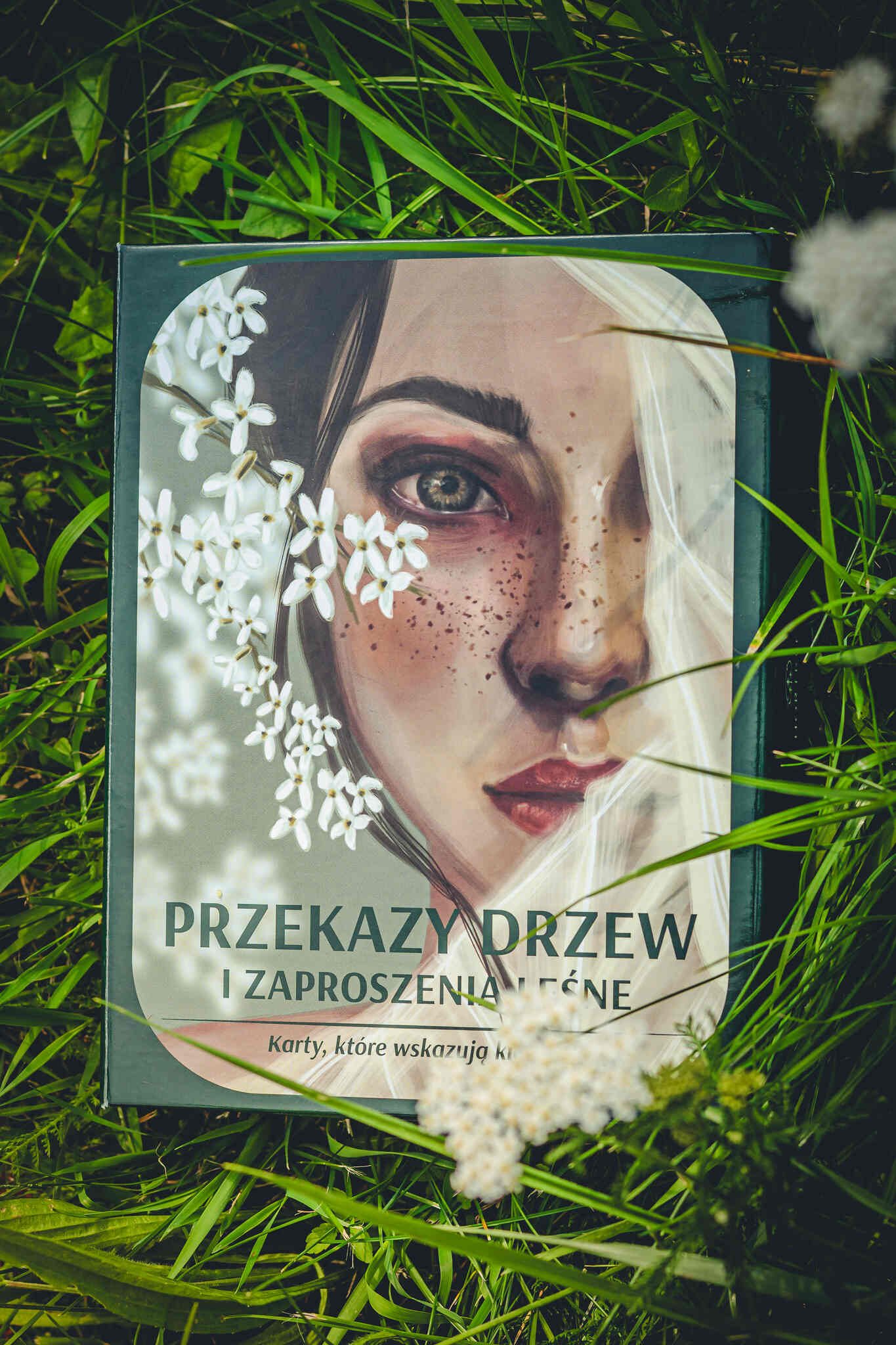 Pudełko Kart Przekazy Drzew wśród traw na leśnej łące