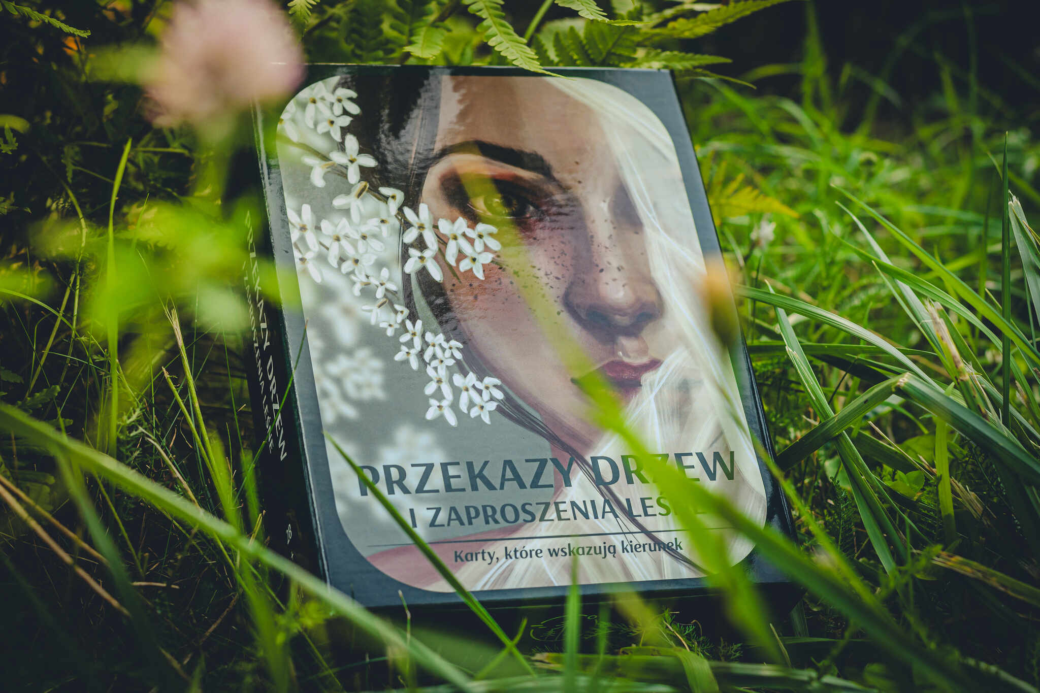 Pudełko Kart Przekazy Drzew leżące na leśnej łące